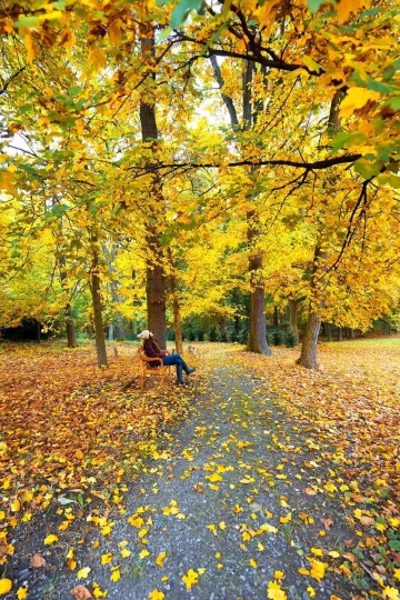 Věnec roku "podzim"